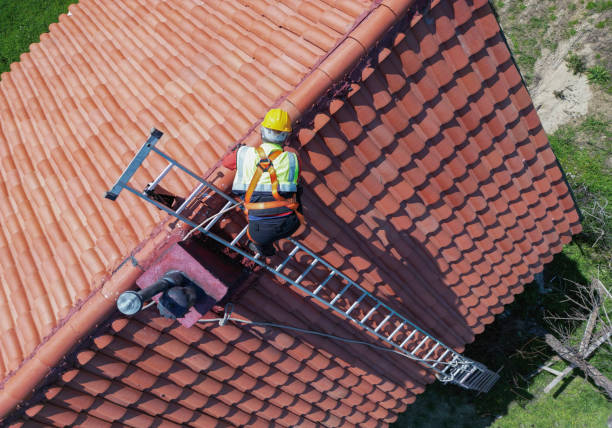 Best Asphalt Shingles Roofing  in Loch Sheldrake, NY